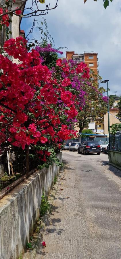 B&B Ciruzzo Neapol Zewnętrze zdjęcie